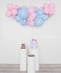 Gender Reveal Balloon Garland, 6 f, in  Pink and Blue